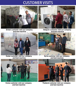 Horno de Secado de Carne y Frutas por Circulación de Aire Caliente, Deshidratador Comercial de Acero Inoxidable Eficiente, Universal para Frutas y Carnes - Product Image 6