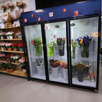 Réfrigérateur commercial à air refroidi pour l'affichage floral, spécialisé pour les fleuristes, refroidisseur floral viral pour la conservation de la fraîcheur