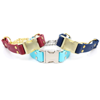 Collier de dressage pour chien en PVC souple, tactique, mignon et personnalisé, avec chaîne martingale – Texture gaufrée, rembourré pour un confort optimal, durable et facile d'entretien