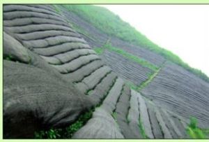 EA. owder. rganic. Atcha. - Product Image 4