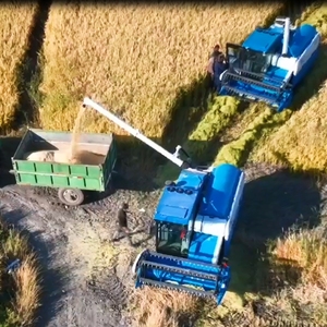 Mesin Panen Gabah Beras Tipe Crawler Otomatis 75kw 4 Tak dengan Penggerak Sendiri dan Sistem Pengumpanan Penuh - Product Image 6