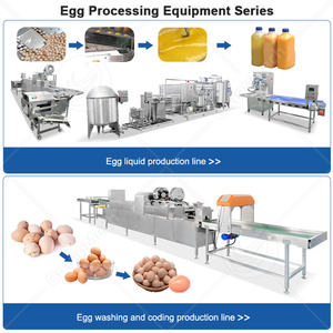 ORME Trieuse d'œufs automatique à petite échelle par poids, machine de tri de poulet par convoyeur - Product Image 5