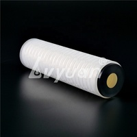 Filtre à micropores 0,22 micron Cartouche de membrane PP PTFE Filtres à air avec configuration DOE/222/226/215 pour le traitement de l'eau