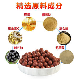 Píldoras de Nutrición para <span class=keywords><strong>Palomas</strong></span> Jóvenes, Vitalidad y Dominancia, Crecimiento, Desarrollo Corporal, Muda, Cría, Carreras, Hechas en China, Empaquetado en Cubo - Product Image 3