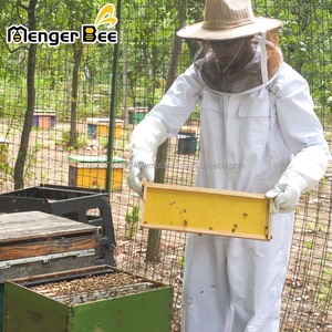 Nouvelles cadres de ruche Langstroth moyennes Menger Bee avec fondation de nid d'abeille en plastique jaune, pin de Nouvelle-Zélande - Product Image 2