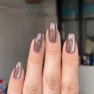 AILANUO Esmalte de Gel UV de Ojo de Gato de Lujo en 6 Colores, No Tóxico, Vegano, Ecológico, Curado con LED/UV para Uso Profesional y en Salones - Product Image 3