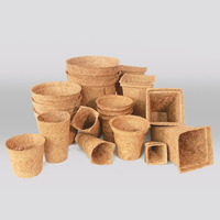 Pots de plantes en Fiber de Coco
