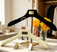 Cintre en velours personnalisé avec logo et plaque nominative en métal doré, pinces floquées antidérapantes, pour boutique, hôtel, présentoir de garde-robe, simple
