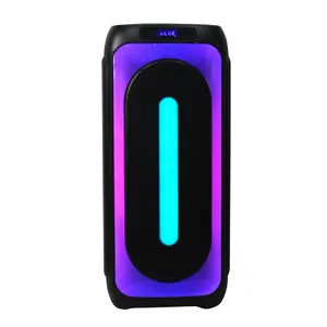T Double 10 Inch Big Size Portable Speaker High Power 120W Chargeable Bluetooth Karaoke Sound Party Speaker