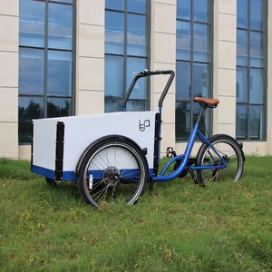 Vélo <span class=keywords><strong>cargo</strong></span> électrique à trois roues le plus vendu, vélo <span class=keywords><strong>cargo</strong></span> pour chien, motocyclette d'<span class=keywords><strong>occasion</strong></span>, vélo électrique urbain, style hollandais - Product Image 3