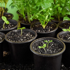 Vaso <span class=keywords><strong>per</strong></span> <span class=keywords><strong>semi</strong></span> vaso <span class=keywords><strong>per</strong></span> <span class=keywords><strong>fiori</strong></span> vasi <span class=keywords><strong>per</strong></span> vivaio in plastica <span class=keywords><strong>da</strong></span> gallone - Product Image 3