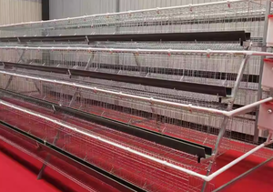 Chuồng nuôi gà tầng, chuồng nuôi gà thịt, chuồng nuôi vịt, trang thiết bị chăn nuôi gia cầm - Product Image 5