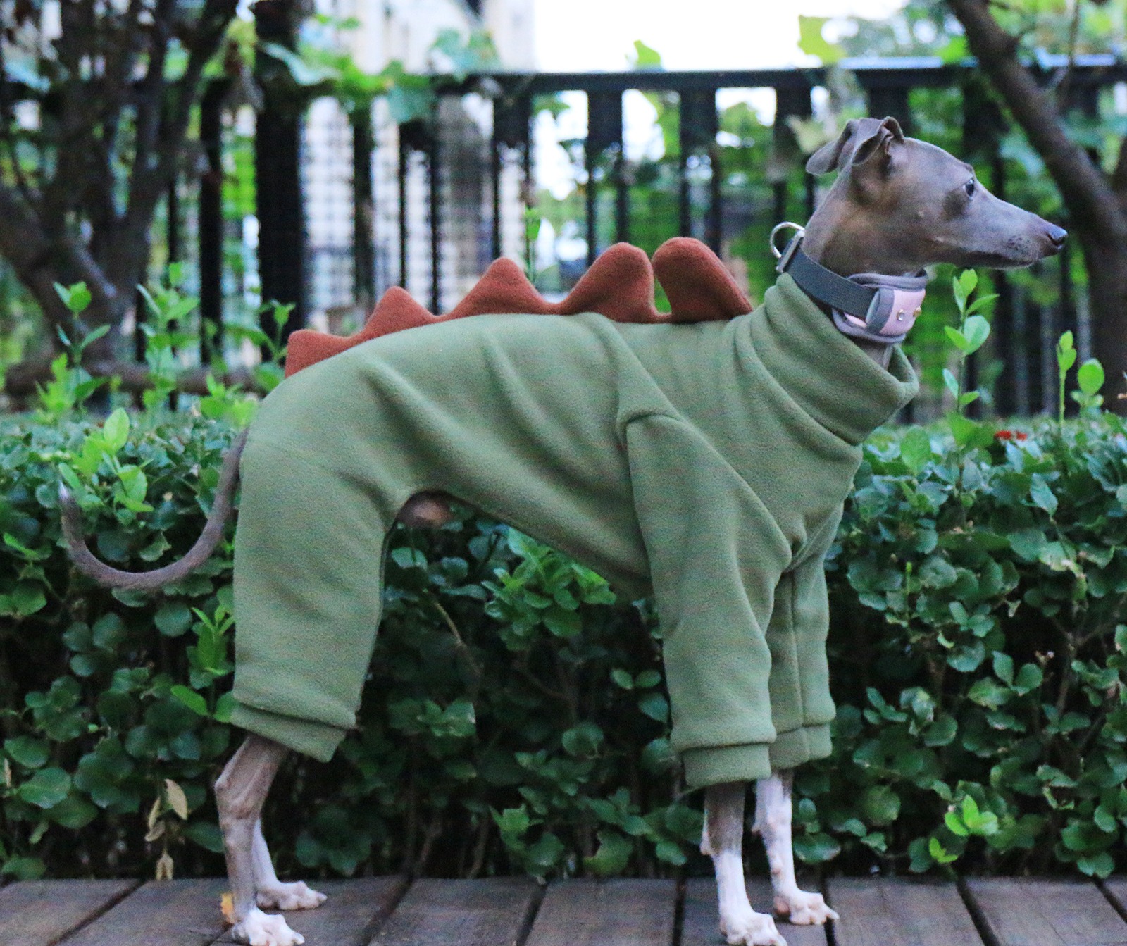 Verde militar