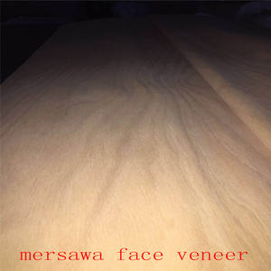 Plaquage à noyau <span class=keywords><strong>d</strong></span>'acacia en <span class=keywords><strong>bois</strong></span> et caoutchouc, 1 pièce, accessoire de <span class=keywords><strong>d</strong></span>écoration pour le visage, Eucalyptus - Product Image 6