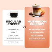 Café de Hongos y Achicoria para un Apoyo Vitalidad Avanzado, Rendimiento Natural y Saludable, Selección Profesional para el Mercado de los Emiratos Árabes Unidos