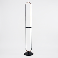Lampe de sol en métal en forme de piste de course avec bande LED flexible intégrée et diffuseur en acrylique blanc opale