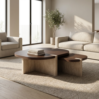 Ensemble de tables basses 2 en 1, plateau en MDF, base en MDF, table basse minimaliste pour salon