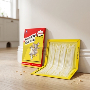 Trampa <span class=keywords><strong>para</strong></span> <span class=keywords><strong>Ratones</strong></span> de Acero con Pegamento Fuerte, Tabla Repelente Ecológica <span class=keywords><strong>para</strong></span> Interiores - Product Image 3