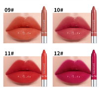 Nouveau multi-fonction 12 couleurs mat imperméable rouge à lèvres crayon longue durée rouge à lèvres stylo cosmétiques beauté maquillage