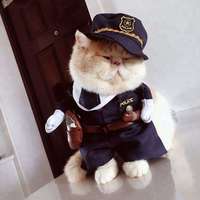 Vêtements de déguisement pour animaux de compagnie, costume de pirate corsaire amusant pour chien et chat, vêtements d'hiver pour animaux de compagnie, vente chaude
