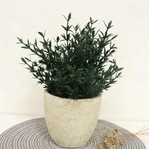 Mini plantes artificielles en petit pot en pulpe pour décoration intérieure, plante verte simulée en pot, petit ornement, <span class=keywords><strong>romarin</strong></span> - Product Image 6
