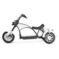 Scooter électrique à gros pneus, moteur 4000W, 60V, Citycoco, scooter électrique à 3 roues, scooters électriques puissants