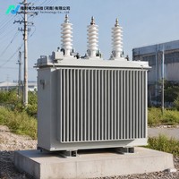 Transformateur monophasé immergé dans l'huile 50/60Hz à enroulement en cuivre 10kV/0.4kV à faible perte pour systèmes de distribution