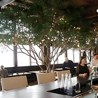Petits arbres artificiels de banian personnalisables, grands arbres verts pour hôtels avec éclairage LED