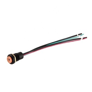 <span class=keywords><strong>Canciones</strong></span> Enclavamiento Micro Cuerno Redondo 16mm Ip67 Plástico Automotriz Eléctrico Led Pulsador Interruptores Cortos - Product Image 1