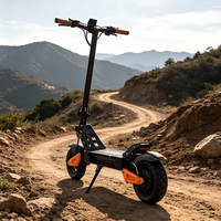 Hochleistungs-Elektroroller 800W für Erwachsene 11 Zoll Allterrain-Reifen 48V Akku Langstrecken-E-Scooter USA-Bereit