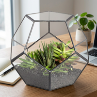 Vase de table mini en verre Art Déco, forme géométrique pentagonale, icosaèdre régulier, pour aquarium, jardin féerique extérieur, cadeau