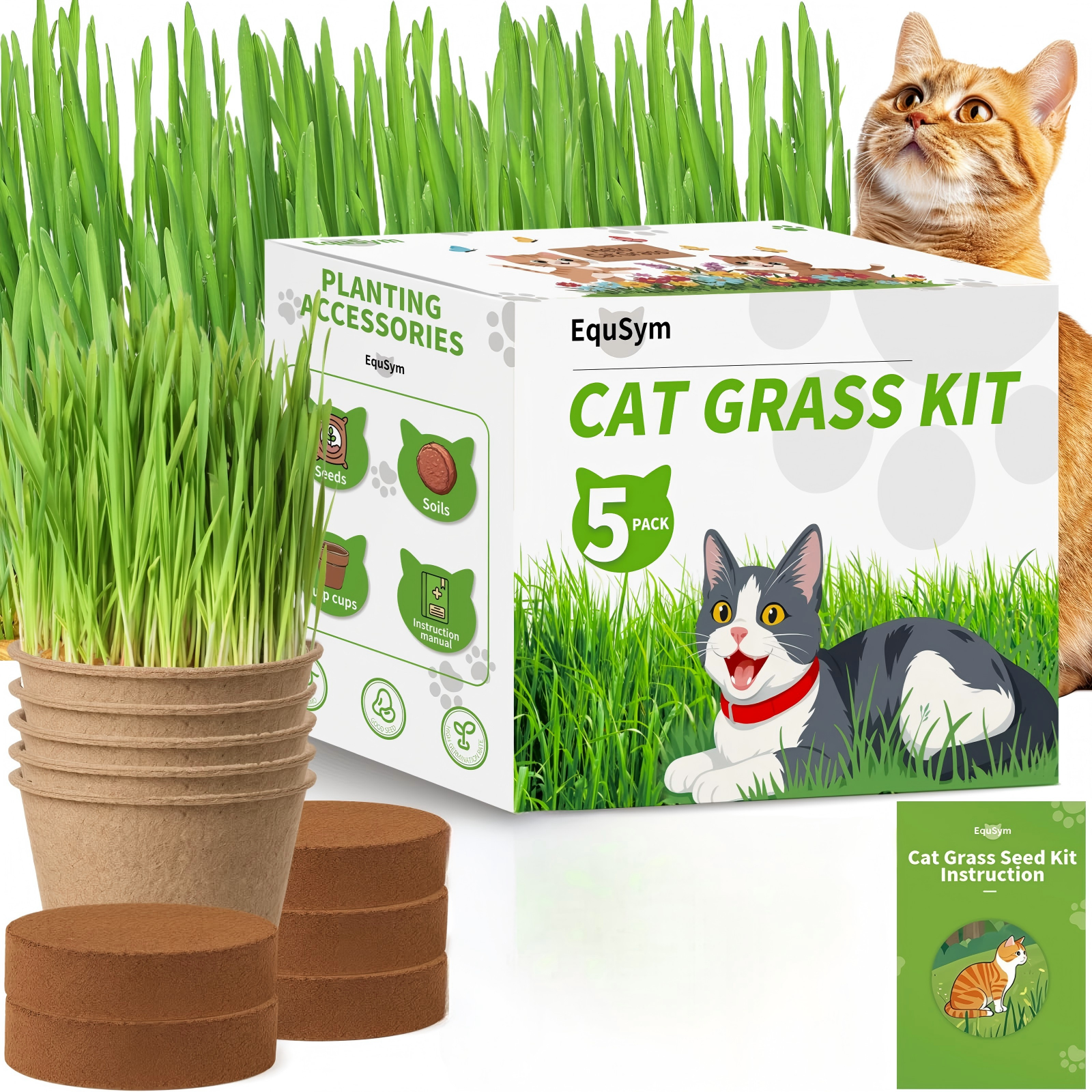 Kit d'herbe à chat