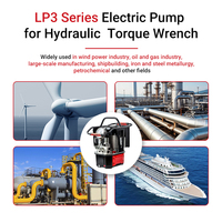 WREN TUV CE Authentification Durable et Portable LP3-2 Clé dynamométrique hydraulique Pompe électrique avec contrôle de précision