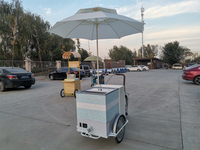 Tricycle électrique commercial pour vente de glaces, congélateur mobile, vélo cargo pour aliments, tricycle passagers pour vente de sucettes glacées