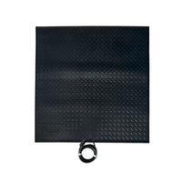 Tapis chauffant électrique pour palier d'escalier 30x30 pouces, antidérapant, imperméable, pour extérieur, dégivreur de neige, avec capacité de chauffage 110V 400W