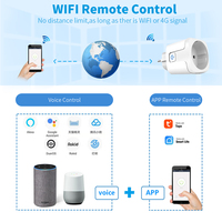 Prise intelligente SIXWGH Tuya 16A EU avec Wi-Fi intégré, compatible avec l'application Tuya Smart Life et Google Home, commande vocale, en plastique