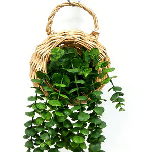 Plante artificielle à 12 brins, plante grimpante douce, panier tressé, plante <span class=keywords><strong>en</strong></span> <span class=keywords><strong>pot</strong></span> d'<span class=keywords><strong>eucalyptus</strong></span> avec faux-sol, plantes vertes à faible entretien - Product Image 5