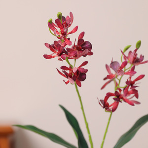 Orchidea Artificiale di Alta Qualità Fatta a Mano, <span class=keywords><strong>Aspidistra</strong></span> in Seta al Tatto Realistico, Decorazione Moderna per Natale, Matrimoni, Casa e Hotel - Product Image 4