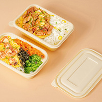 Fournisseur d'or NEWRAY Boîte à lunch pour enfants en papier kraft personnalisée sans BPA et compatible micro-ondes, emballage biodégradable avec couvercle