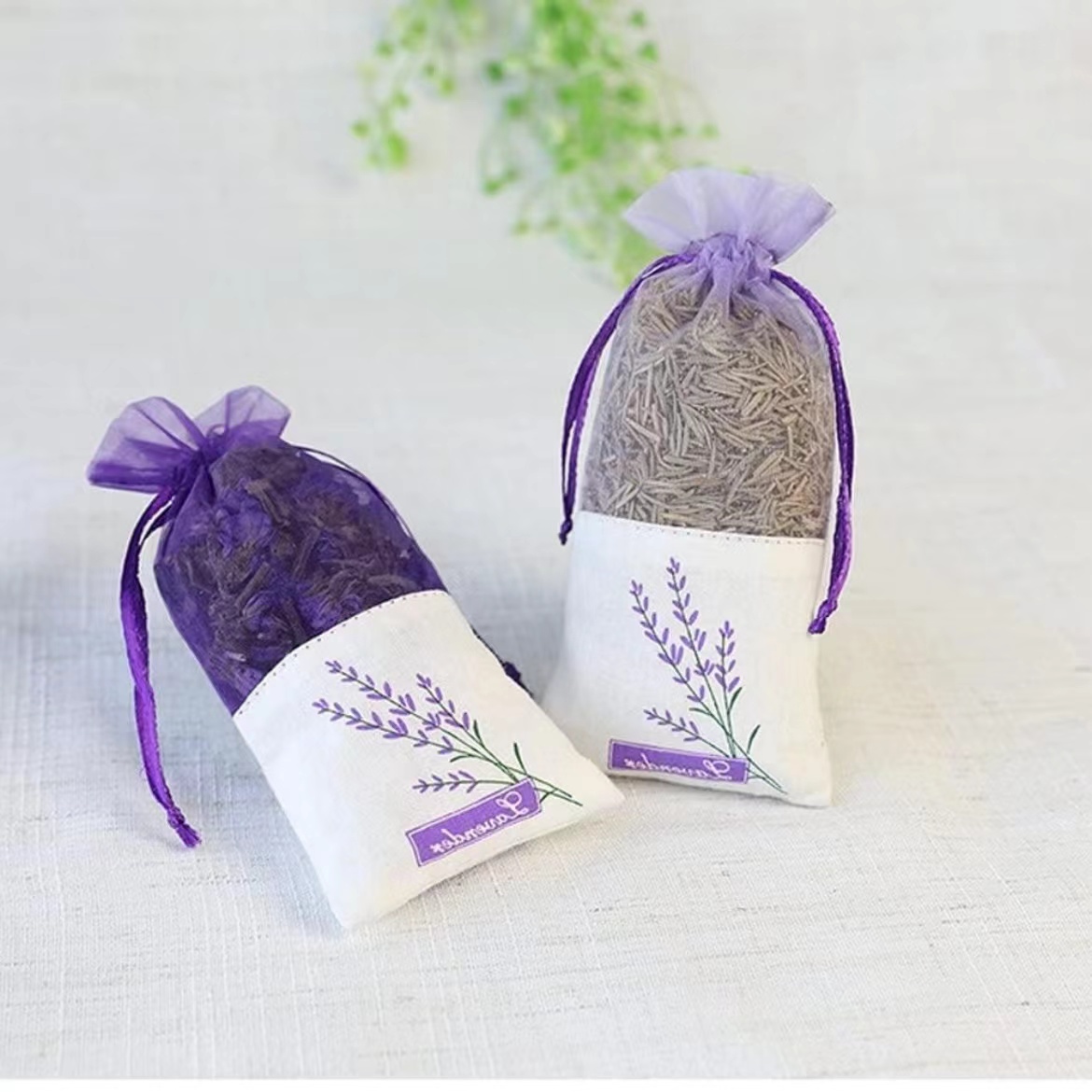 Pourpre