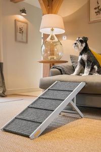 JUNJI moderna in legno Pet rampa per i signori e labrador mobili in stile Board con modello elegante - Product Image 2