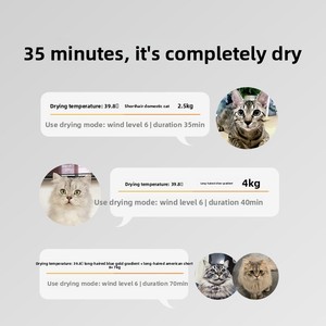 Séchoir pour animaux Xiaopei Dry Box MAX – Sèche-cheveux automatique pour chats et chiens, modèle PKHGM sans support mural, pour le bain à domicile - Product Image 3