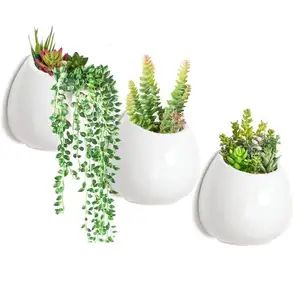 Vaso de cerâmica para plantas, suporte redondo de cerâmica para parede, vaso decorativo de 4 polegadas, vaso suculento para ambientes internos, conjunto de 3