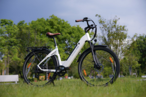 Bicicletta Elettrica da Città Rossa da <span class=keywords><strong>28</strong></span> Pollici con Motore Posteriore Bafang 36V 250W, 7 Velocità e Batteria da 20AH per 80KM di Autonomia - Product Image 5