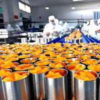 Geavanceerde multifunctionele verwerkingslijn voor perziken, abrikozen en pruimen met PLC-pompmotor voor het maken van sap, puree, jam en ingeblikt fruit.