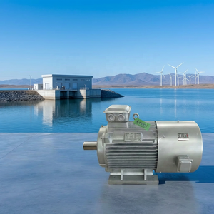 Generador Magnético de 20kw para Construcción Hidroeléctrica, Garantiza Larga Duración en Entornos Hostiles - Product Image 1