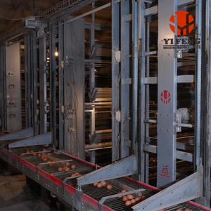 Cages à volailles pour poules pondeuses, système d'alimentation automatique, grande capacité, design peu encombrant, traitement antirouille - Product Image 1