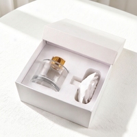 Diffuseur de parfum d'ambiance de luxe 100 ml en verre avec bâtonnets en céramique parfumés et gypse aromatique pour huiles essentielles