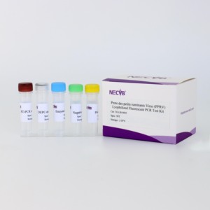 Kit <span class=keywords><strong>de</strong></span> detección <span class=keywords><strong>de</strong></span> ácido nucleico PPRV (RT-qPCR liofilizado, 50T/Kit)-para diagnóstico veterinario - Product Image 1