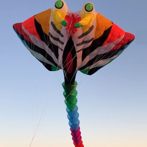 15M 30D Thunder Devil Fish Soft <span class=keywords><strong>Kite</strong></span> Nylon Cerf-volant gonflable Résistant à la déchirure Sports de plein air Compétition - Product Image 6